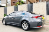 2020 Toyota Altis 豪華版