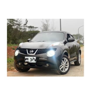 2013 NISSAN JUKE