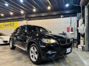 2010 BMW X6 35i